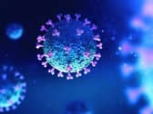 Today's Coronavirus figures