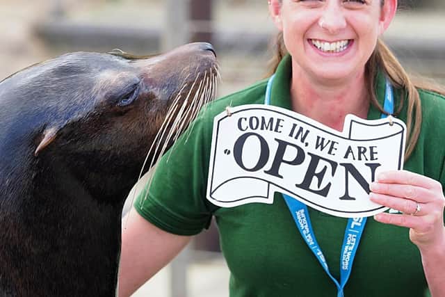 Zookeeper Alex Pinnell at ZSL Whipsnade Zoo with California Sea lions (C) ZSL
