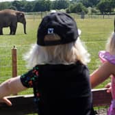 ZSL Whipsande Zoo reopens (C) ZSL