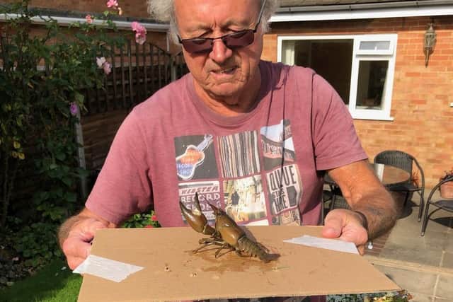 Stephen Thorne examines the crayfish caught ,in the Wendover Arm canal at the back of Wenwell Close, before returning it to the water