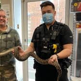 Special delivery: PC James Holmes hands over the snake at Wrigglies, Leighton Buzzard