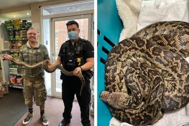 The rescued boa slept off the excitement in the police inspector's office, before being taken in at Wrigglies
