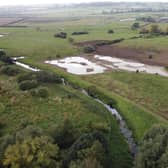View of the entire wetlands