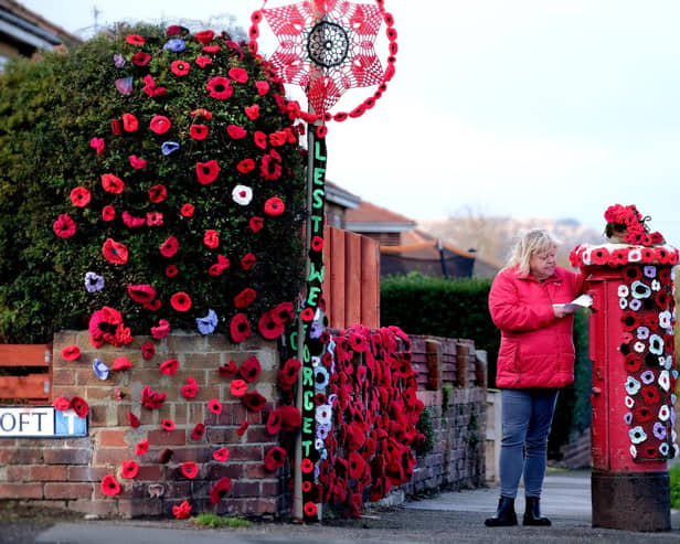 A wonderful knitted Remembrance display