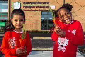 Kingsbrook View Primary Academy