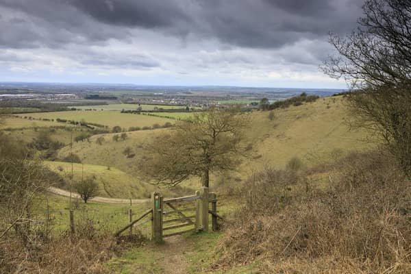 Spectacular views of the Chilterns at Ashridge. Picture: National Trust Images/John Miller