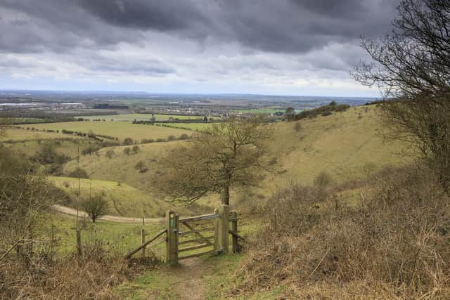 Spectacular views of the Chilterns at Ashridge. Picture: National Trust Images/John Miller
