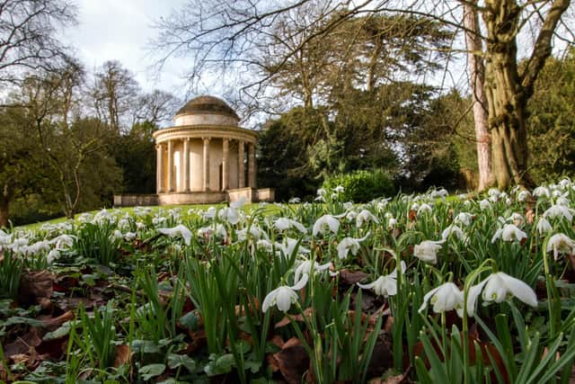 Snowdrops at Stowe. (c) National Trust Images/Hugh Mothersole