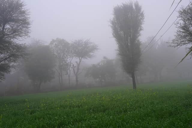 Patches of fog are expected to become an issue in the coming days.
