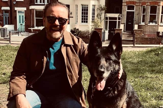 Ricky Gervais with Antilly on the set of After Life. 
Photo: @antilly_the_wonder_hound / Animal News Agency