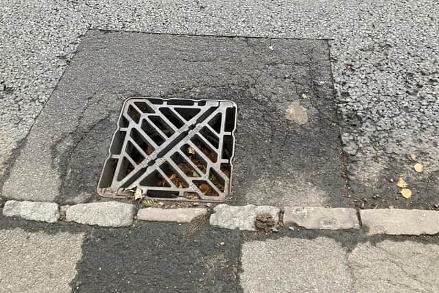 A problem drain. Photo: John and Sandra Leaver.
