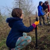Planting trees in Heartlands Park