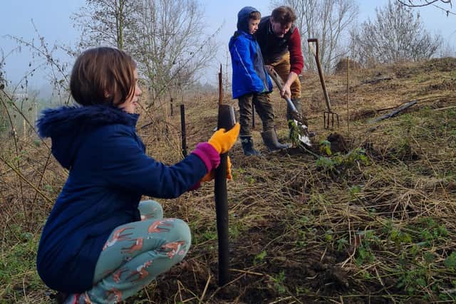 Planting trees in Heartlands Park