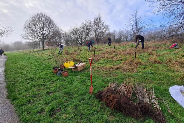 Volunteers hard at work