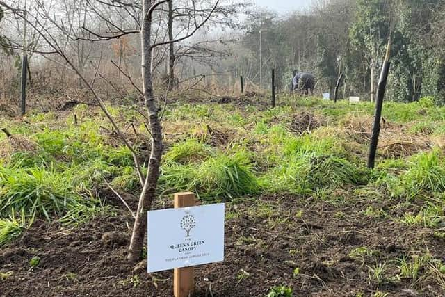 One of the plaques marking the Queen's Green Canopy planting