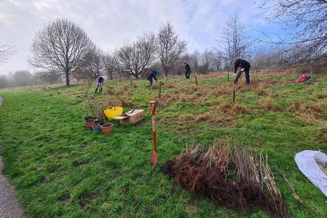 Volunteers hard at work planting trees in Heartlands Park on Sunday