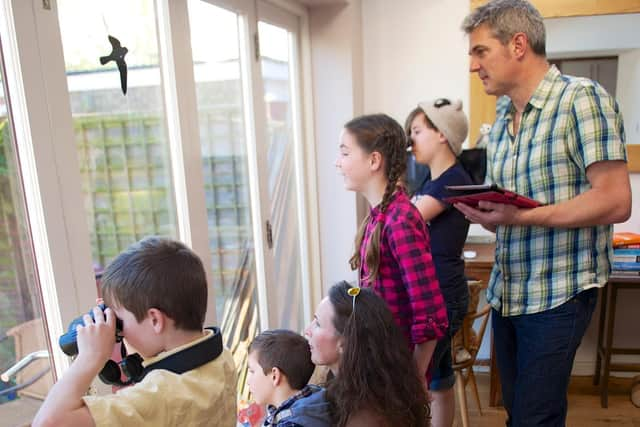 People are asked to spend one hour watching and recording the birds in their garden, balcony or local park (Credit: rspb-images.com)