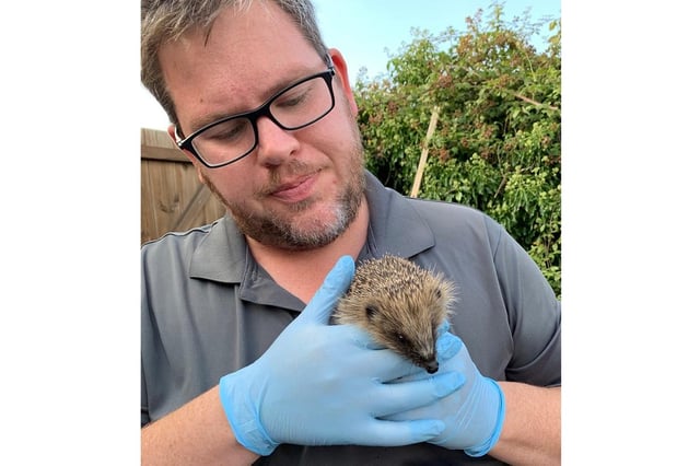 Dominic with a rescued hedgehog