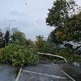 The Met Office has issued warnings which includes possible danger to life and trees coming down