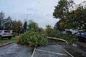 The Met Office has issued warnings which includes possible danger to life and trees coming down