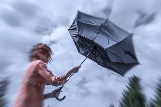 High winds have hit the region in the past few days as three storms pass through.
