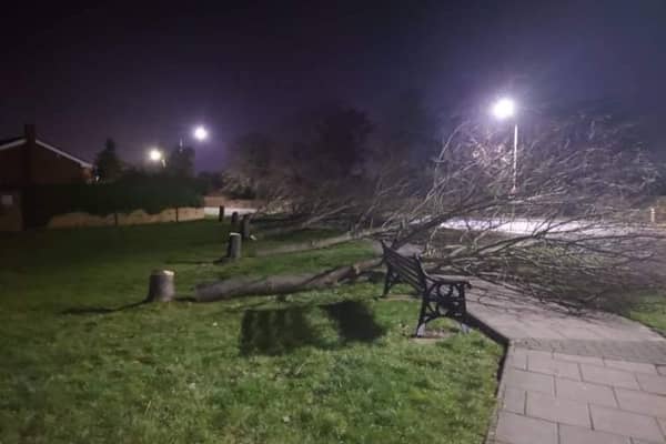 photo from Callum Riley