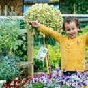 © UNP) of Dobbies’ Little Seedlings Ambassador Leon Bagley