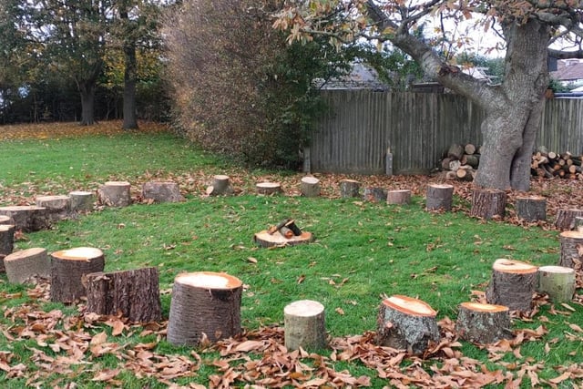 The log circle created in the outdoor learning area