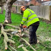 A member of the Green Spaces Team cutting up fallen tree branches