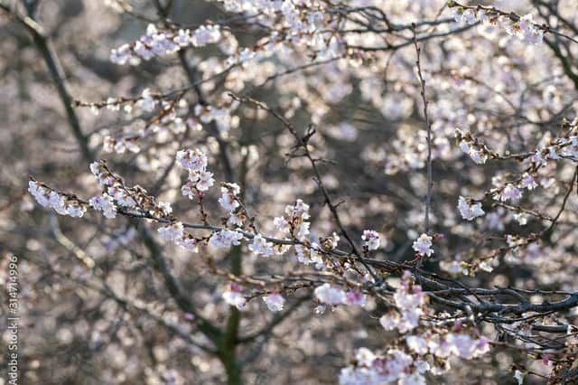 Milder temperatures should arrive next week.