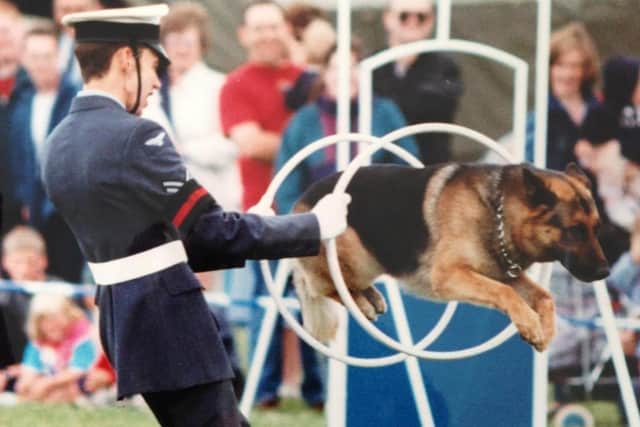 Royal Air Force Police Dog Sam jumping through hoops as part of the Dog Demo Team
