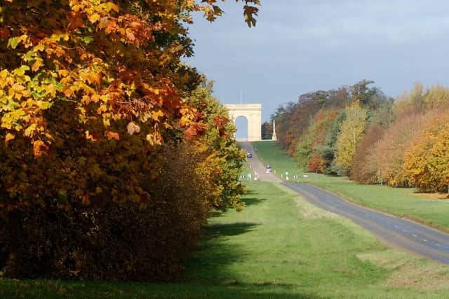 Stowe Avenue