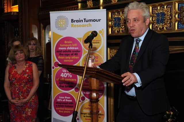John Bercow at the 10th anniversary reception at Speaker's House for Brain Tumour Research, of which he is a past patron