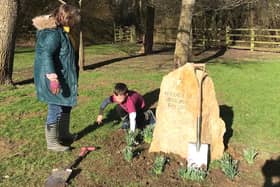 Sue Cole and her grandson Kit plant snowdrops around the Holocaust Memorial Stone