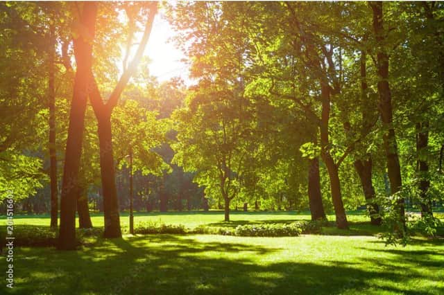 It’s likely to stay dry and sunny into next week.
(Picture: Adobe Stock)