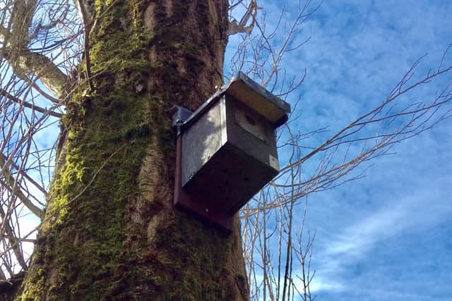 One of the nest boxes in situ