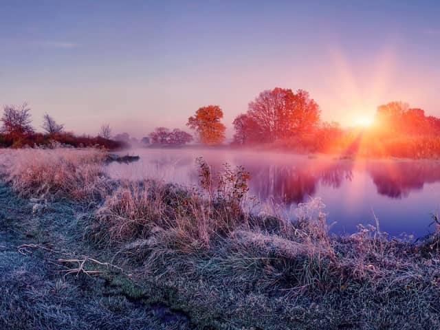 Cold and frosty nights will set in this week. (Picture: Adobe Stock)