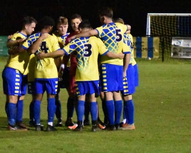 Aylesbury Vale Dynamos round-up