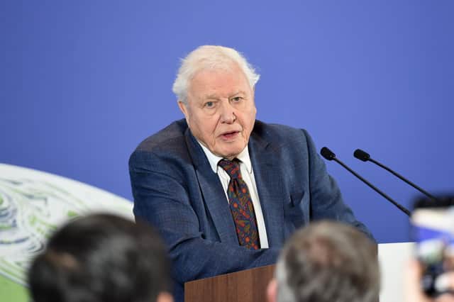 David Attenborough takes the top spot with 17 percent of votes from a pick of 30 celebrities