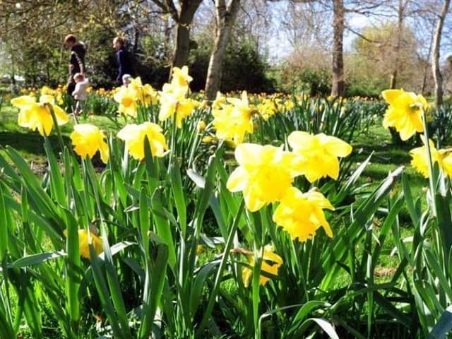A warmish, but generally unremarkable weekend of weather