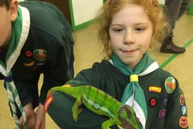 A local scout meets an unusual friend