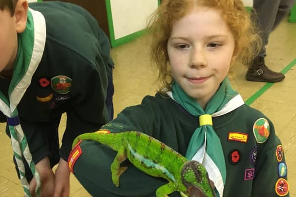 A local scout meets an unusual friend