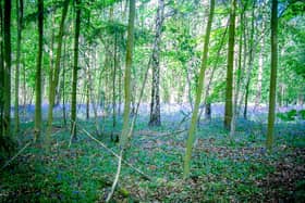 Dancersend Reserve photo by Mick Jones