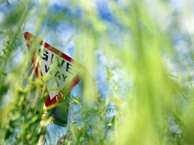 The council says it is prioritising dealing with grass verges in the county