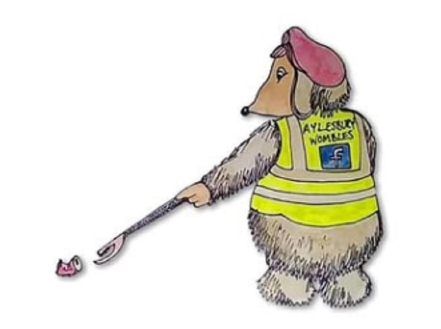 Aylesbury Wombles launch fundraising campaign for electric van