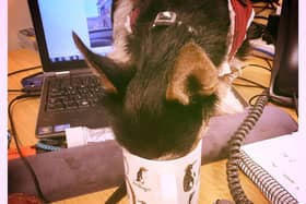 Lemmy at work