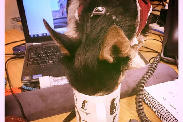 Lemmy at work