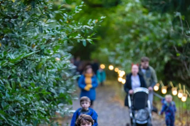 Halloween Trail - Chris Lacey (C)