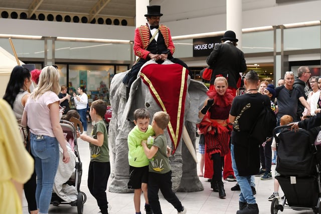 A life-like elephant was roaming around the shopping centre yesterday, photo by Jane Russell