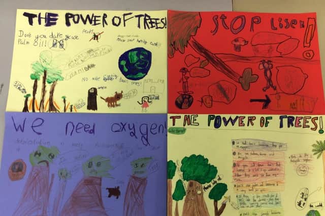 Deforestation posters created by pupils